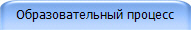 Образовательный процесс